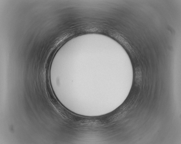 X0000115760626200912111046
