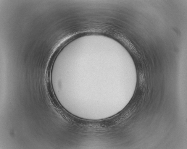 X0000115760628200912111046