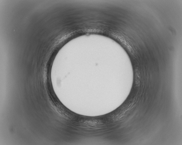 X0000115760631200912111046