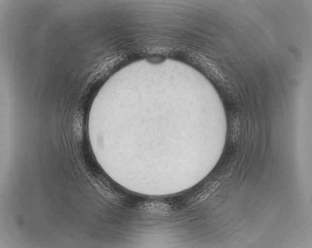 X0000115760644200912111047