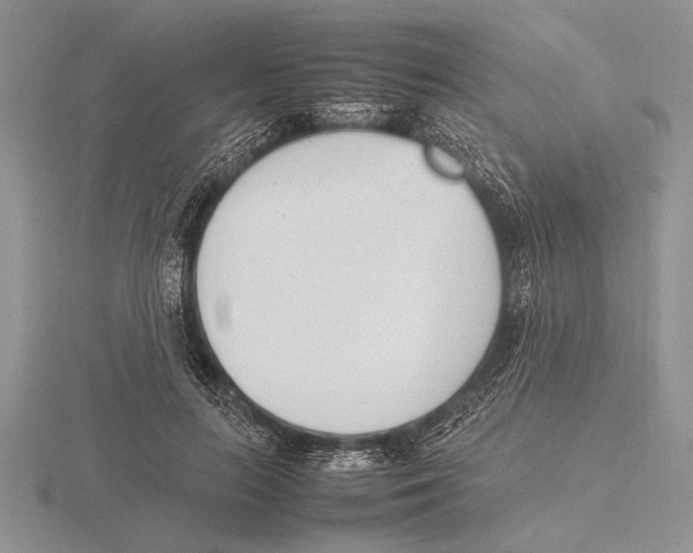 X0000115760647200912111047
