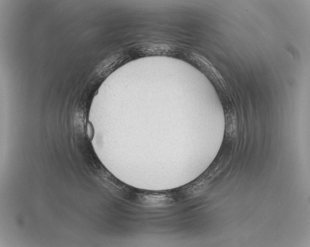 X0000115760669200912111047