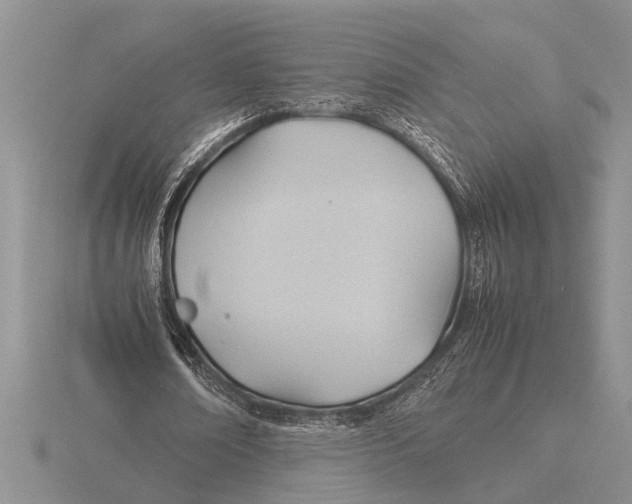 X0000115760674200912111046