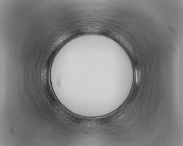 X0000115760675200912111046