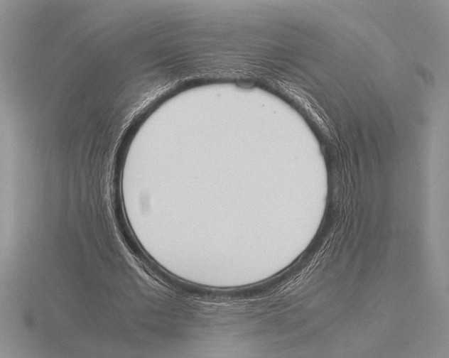 X0000115760677200912111046