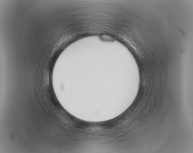 X0000115760685200912111046