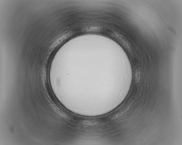 X0000115760725200912111045