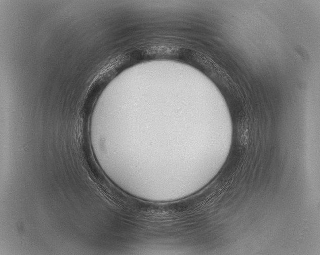 X0000115760735200912111045