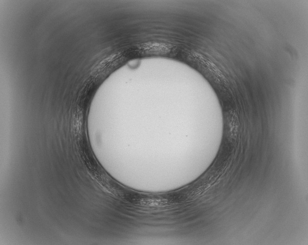X0000115760745200912111045