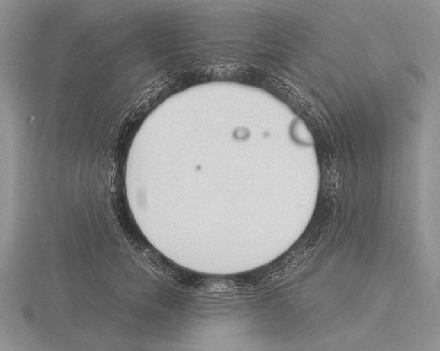 X0000115760750200912111046