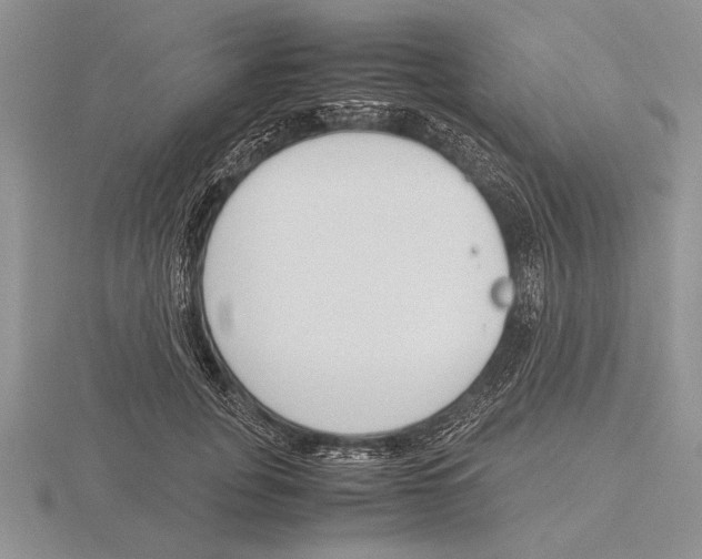 X0000115760751200912111046