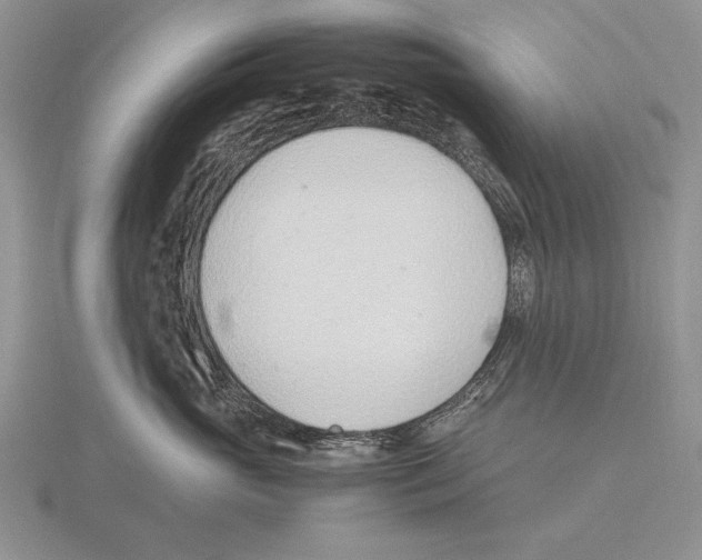 X0000115760765200912111046