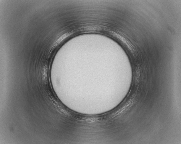 X0000115760778200912111045