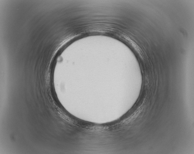 X0000115760779200912111045