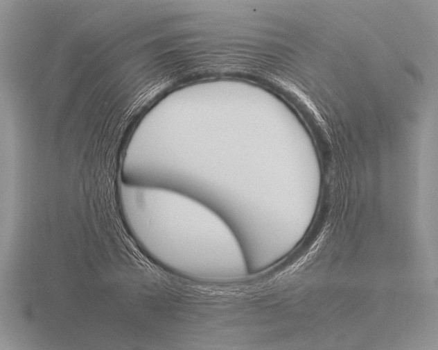 X0000115760785200912111045