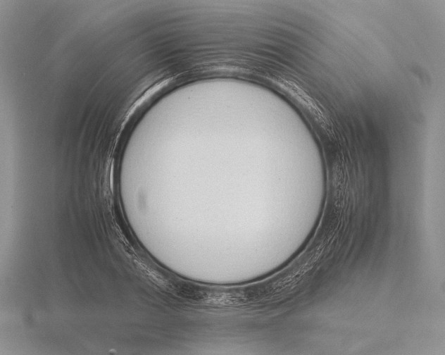 X0000115760790200912111045