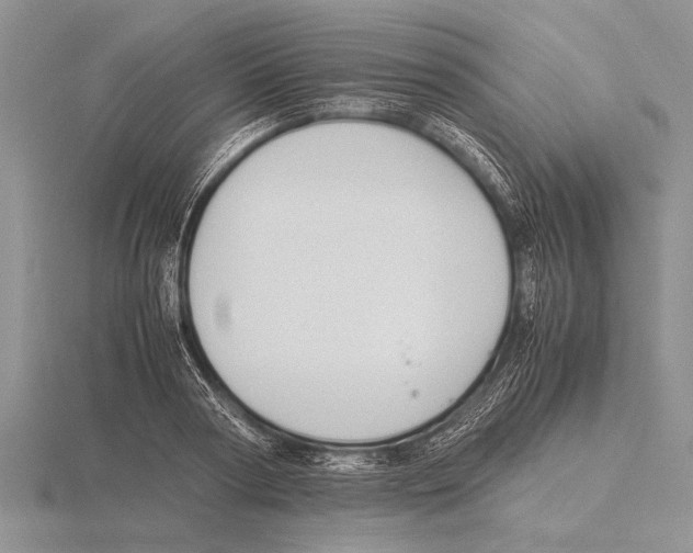 X0000115760794200912111045