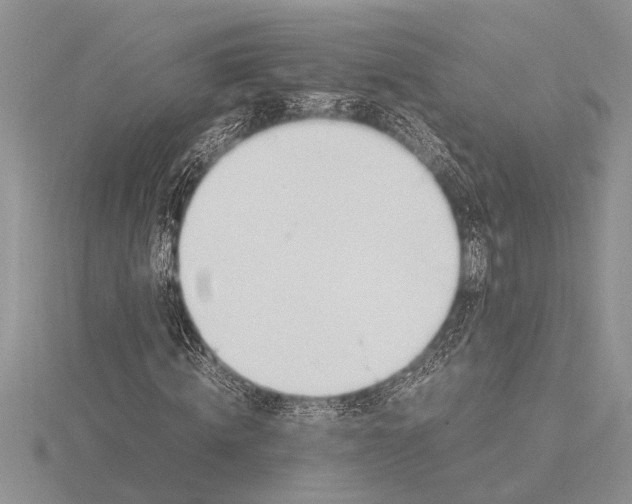 X0000115760820200912111044