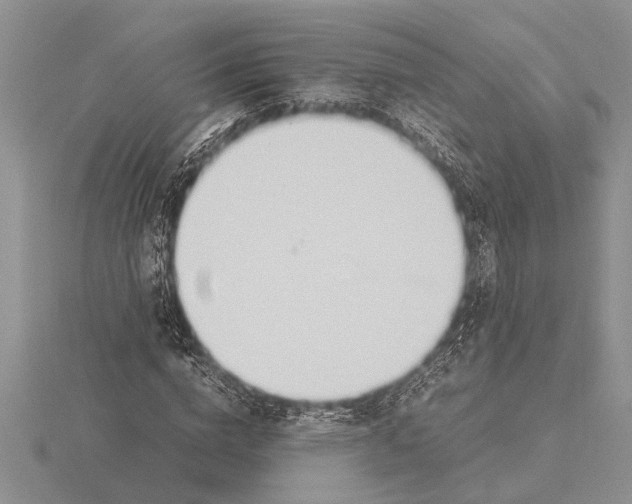 X0000115760824200912111044