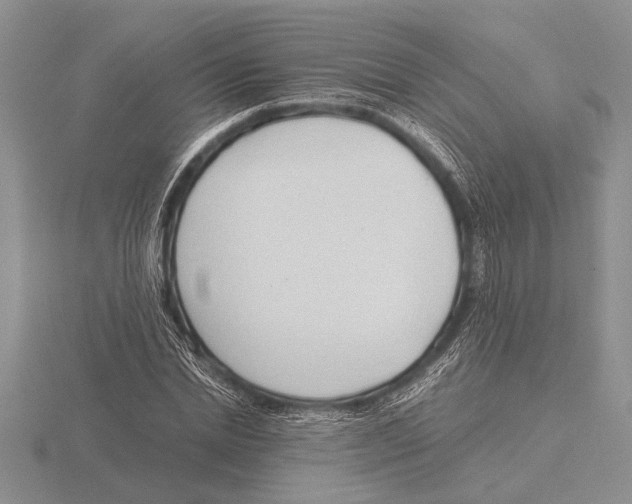X0000115760830200912111044