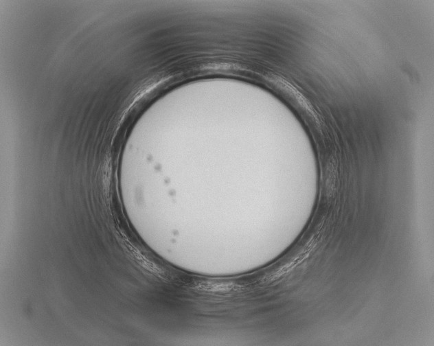 X0000115760831200912111044