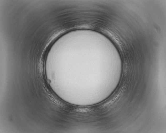 X0000115760835200912111044