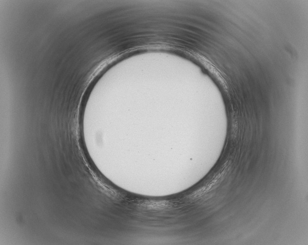 X0000115760845200912111044