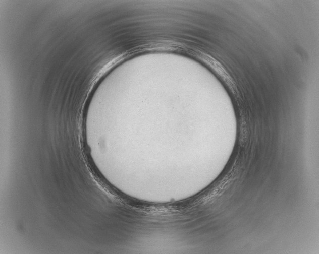 X0000115760850200912111044