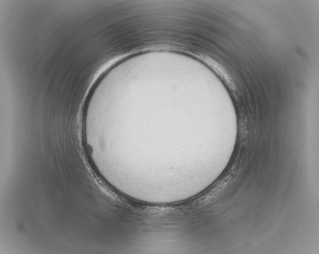 X0000115760854200912111044