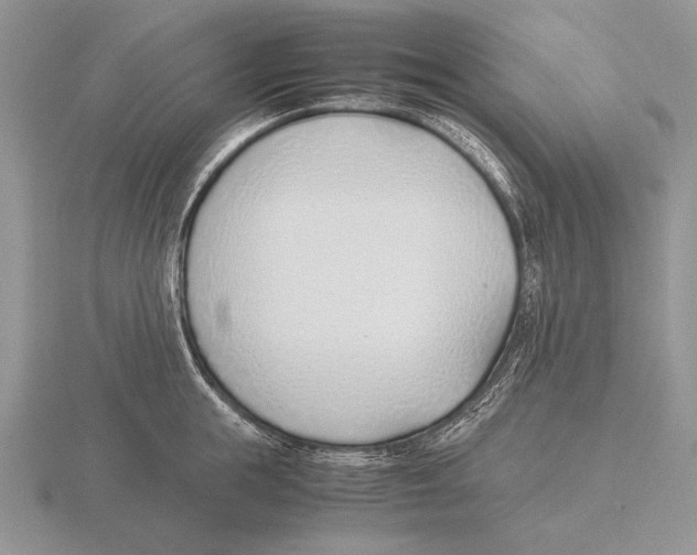 X0000115760855200912111044
