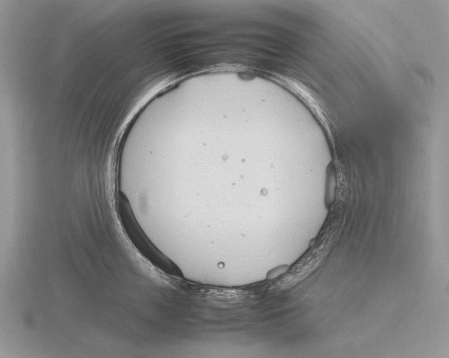 X0000115760859200912111044