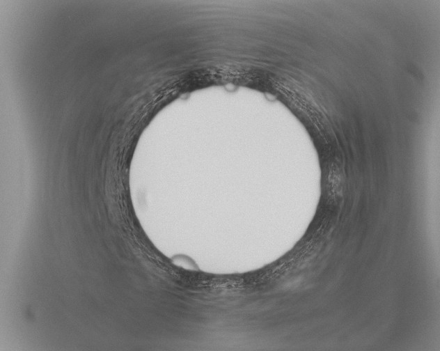 X0000115760865200912111044