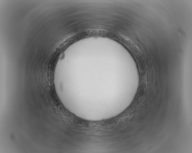 X0000115760870200912111044