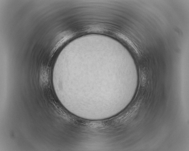 X0000115760874200912111044