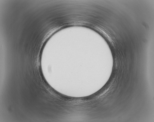 X0000115760885200912111044