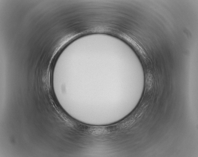 X0000115760886200912111044