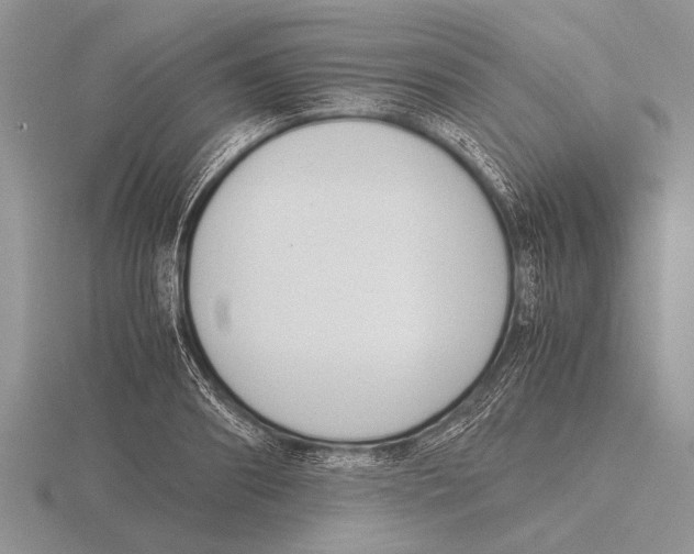 X0000115760890200912111043