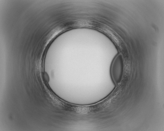 X0000115760893200912111043