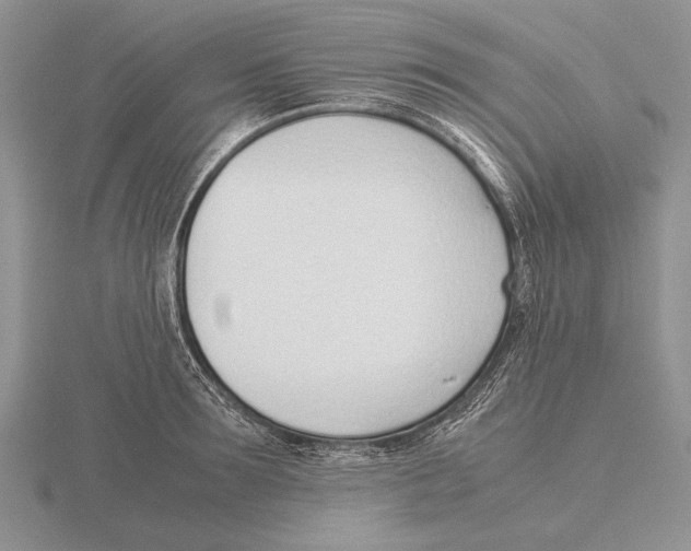 X0000115760899200912111043