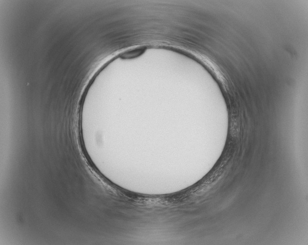 X0000115760903200912111043