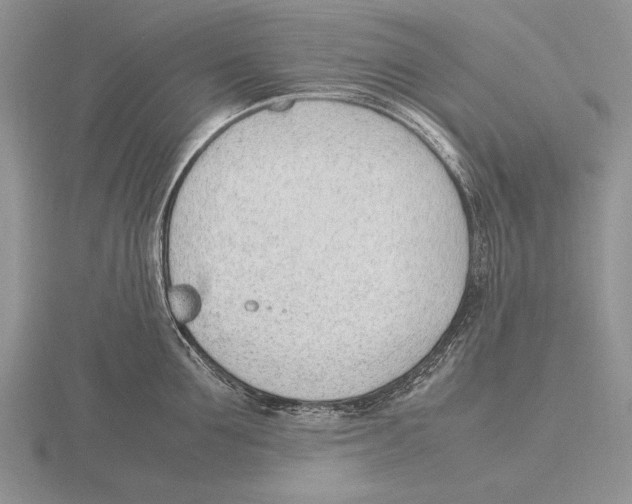 X0000115760907200912111043