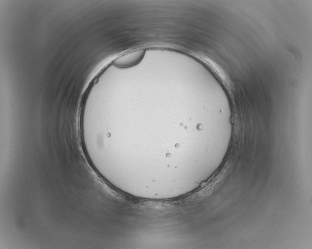 X0000115760910200912111043