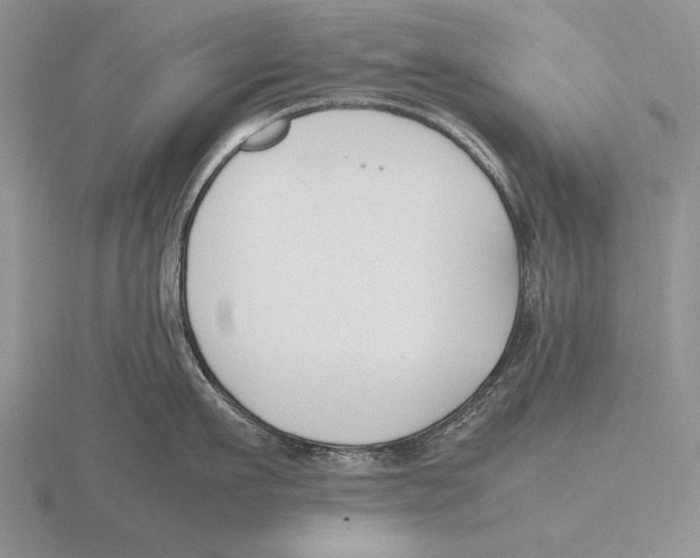 X0000115760911200912111043