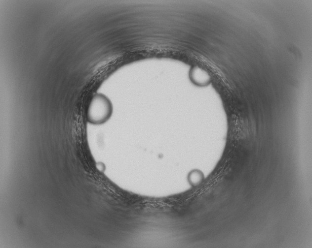 X0000115760918200912111042