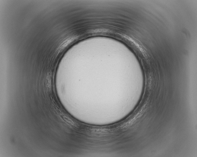 X0000115760921200912111042