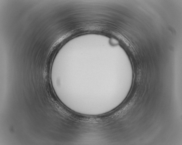 X0000115760922200912111043