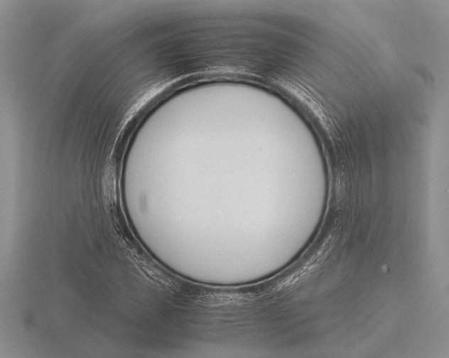 X0000115760925200912111043