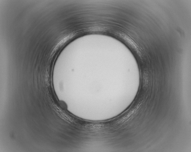 X0000115760930200912111043