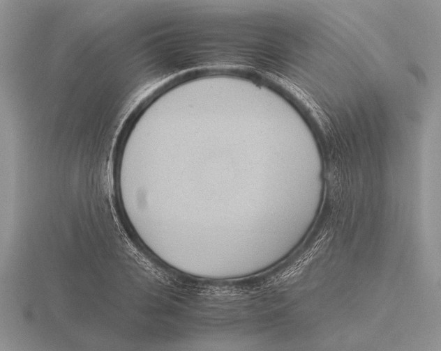 X0000115760935200912111043