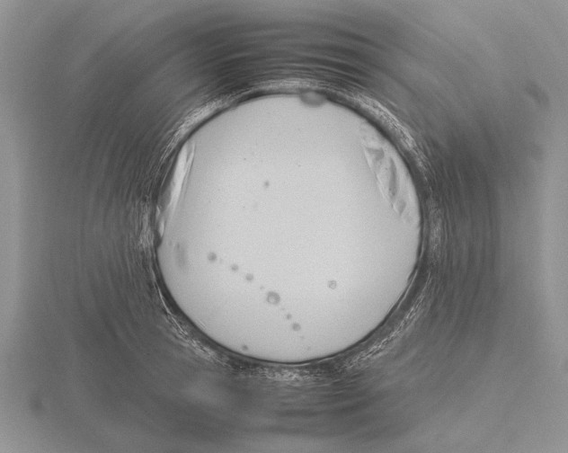 X0000115760945200912111043